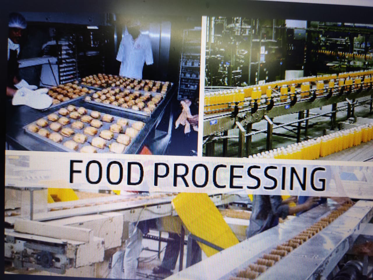 मंत्रिमंडल ने खाद्य प्रसंस्करण उद्योग के लिए उत्पादन से जुड़ी प्रोत्साहन योजना को मंजूरी दी